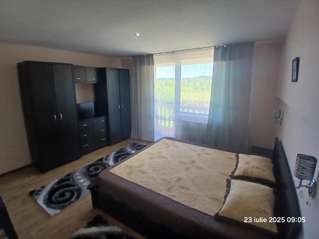 a bedroom with a large bed and a window at Casa David in Sighetu Marmaţiei