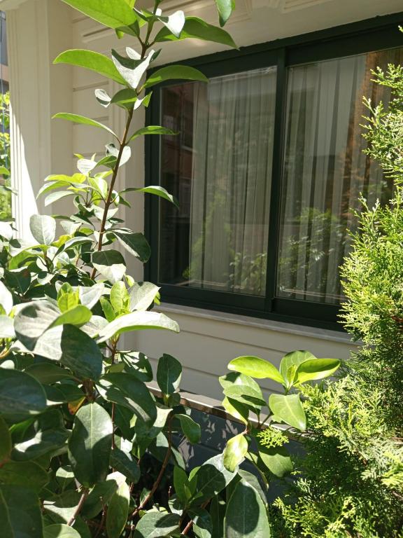 Ber Mai İnci Hotel Antalya - 3