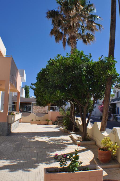 Fotografie z fotogalerie ubytování Zouboulia Apartments v destinaci Kardamaina