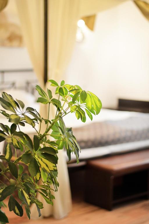 Hanul Fullton - Resim 17