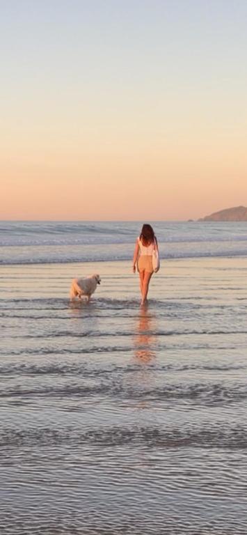 a woman and a dog walking on the beach at Welooveyou Blue Collection in Costa Calma