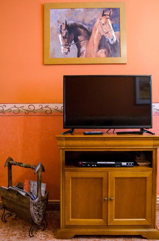 TV a/nebo společenská místnost v ubytování Casa Rural Las Barricas