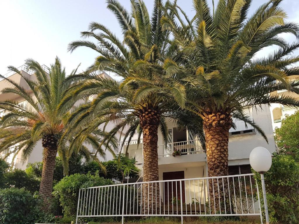 two palm trees in front of a building at Three Palms Apartments Novakovic in Petrovac na Moru