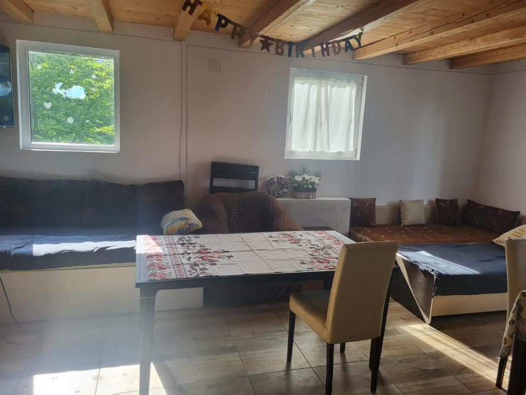 Posezení v ubytování Cabana Muntele Rece