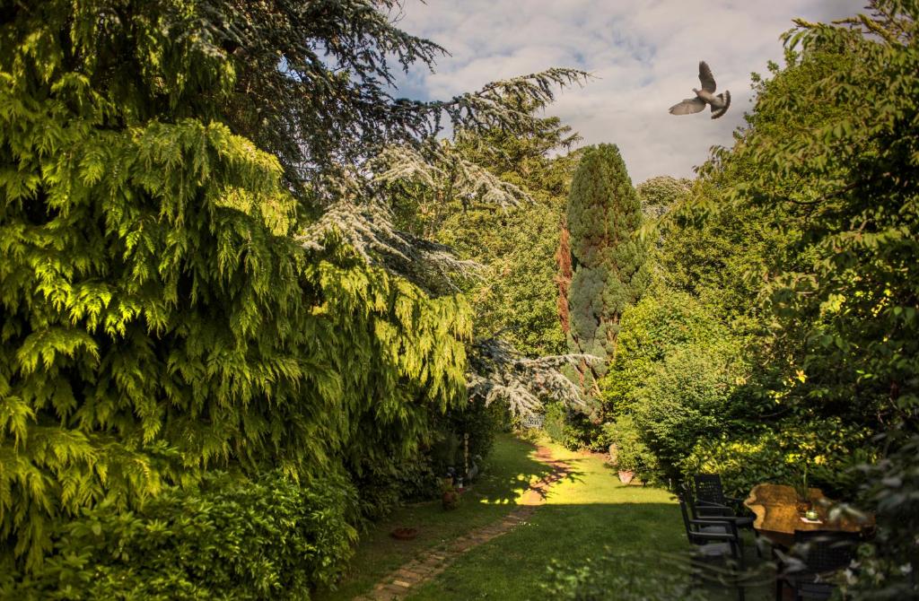 a bird flying over a garden with trees at Ward Avenue B&B in Cowes