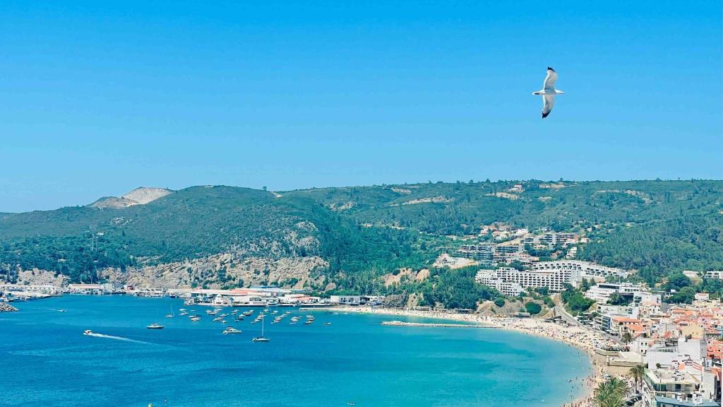 a bird flying over a beach with boats in the water at 903 by the sea in Sesimbra