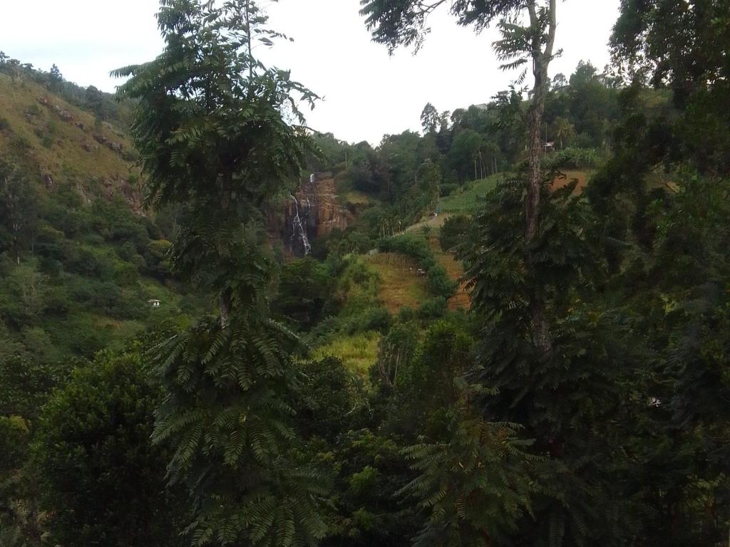 Nature's Glow Homestay And Resturant - 14