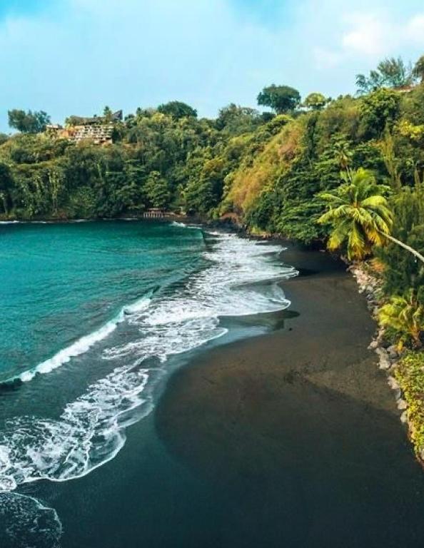 Heimata Blue - photo 10 - Tahiti, Polynésie