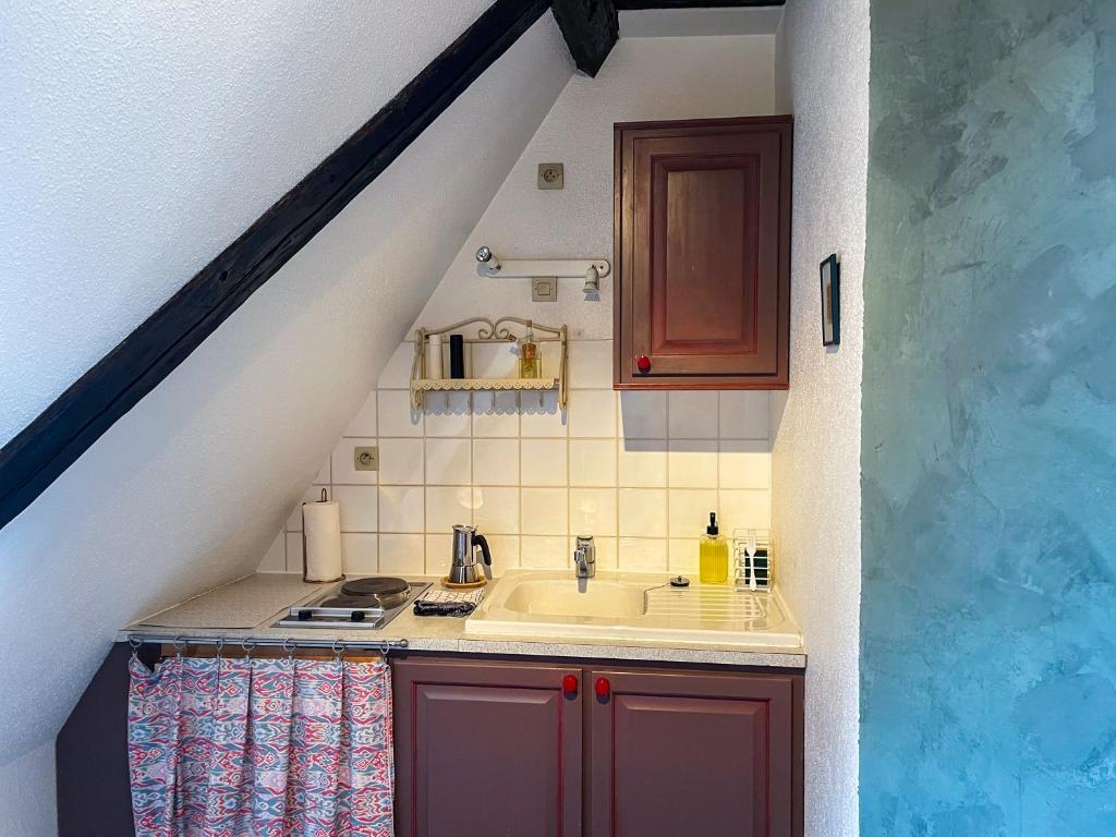 La Maison Bleue - Historic House in the Heart of Riquewihr – photo 56
