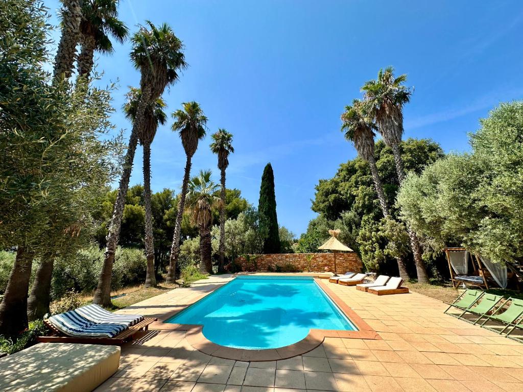 - une piscine bordée de chaises et de palmiers dans l'établissement Villa Esden & adjoined outbuilding - Sea view, swimming pool, air conditioning, absolute calm, 5000 m2 land, à La Ciotat