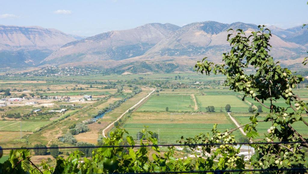 Příroda nedaleko prázdninového domu