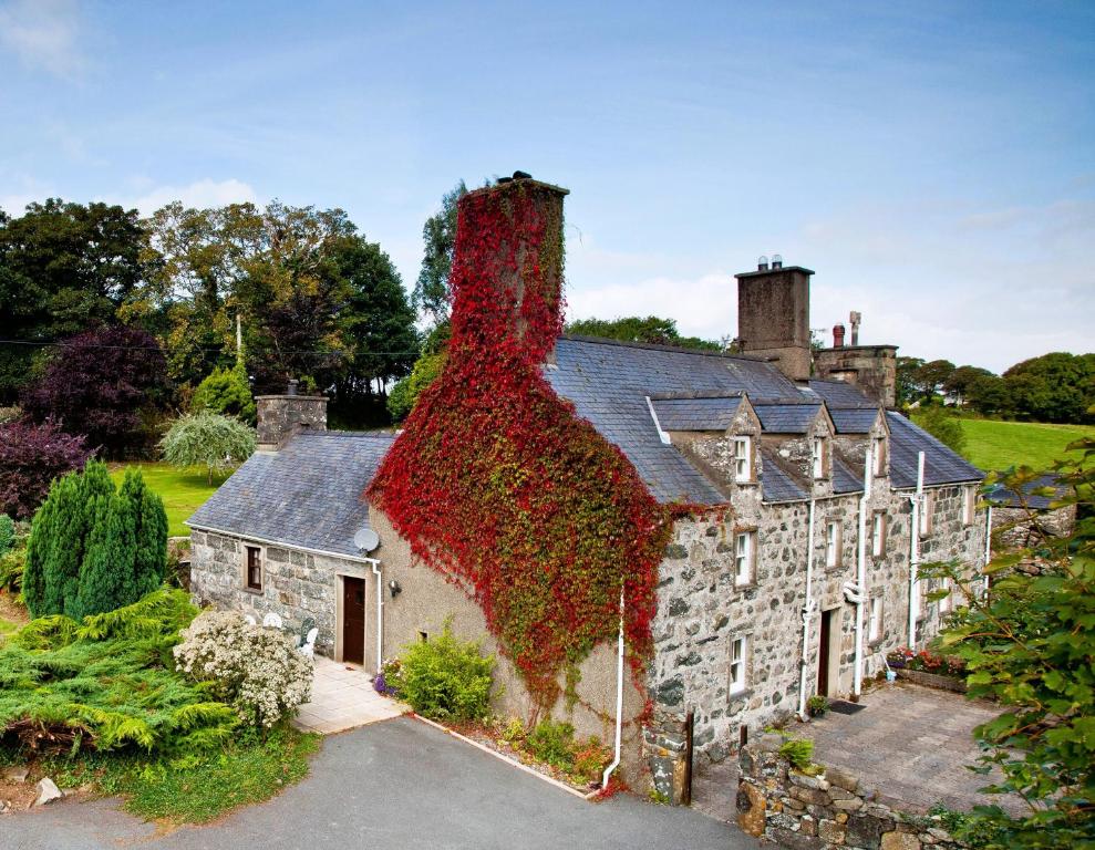 a house covered in ivy with a building at Betws Bach in Criccieth