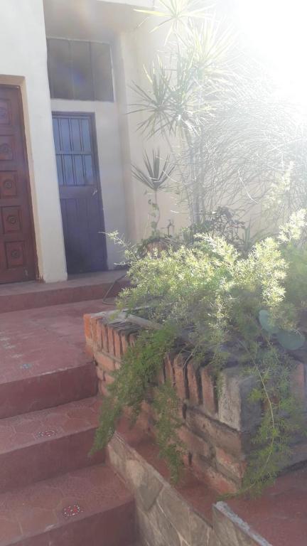 Eluisa في La Quebrada: مبنى فيه باب و مجموعة نباتات