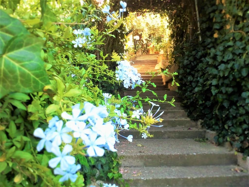 a stairway with blue flowers in a garden at Delle Rose in Cefalù