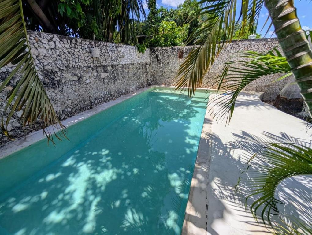 a pool with a palm tree next to a wall at Casa Kiiwik - Luxury Property with a Private Outdoor Pool and Parking in Central Merida in Mérida