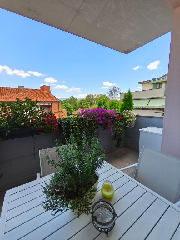 Casa degli Aromi - 4