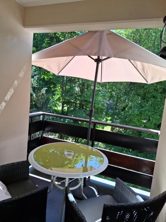 l'ecureuil – photo 11