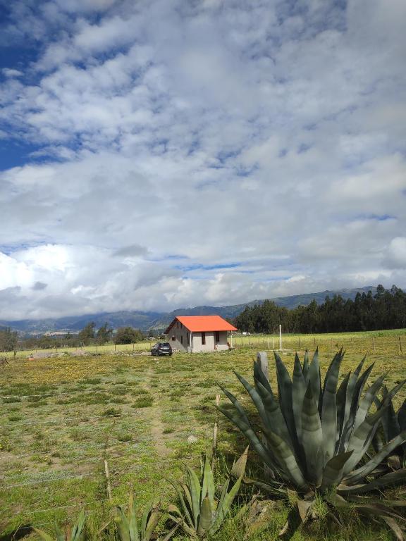 a house in the middle of a field with a cactus at Casa de campo San Marcos in Pujilí