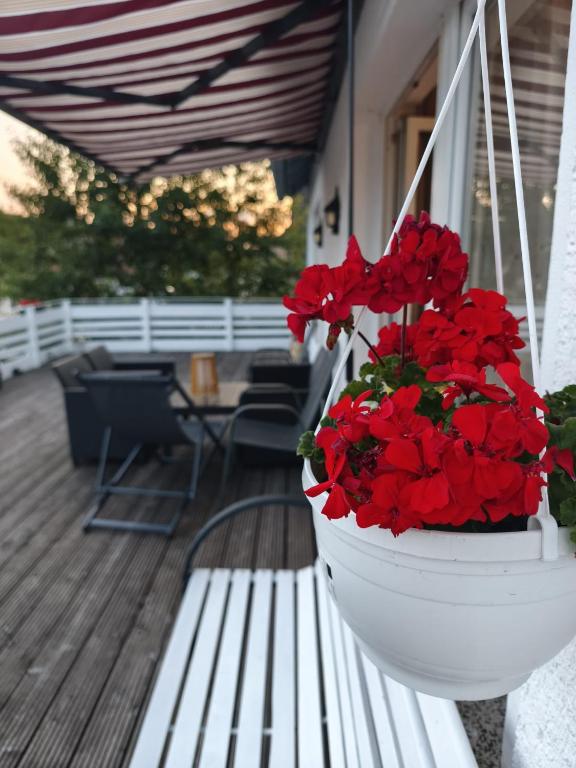 a white planter with red flowers on a porch at FeWo im Harz Bad Harzburg in Bad Harzburg