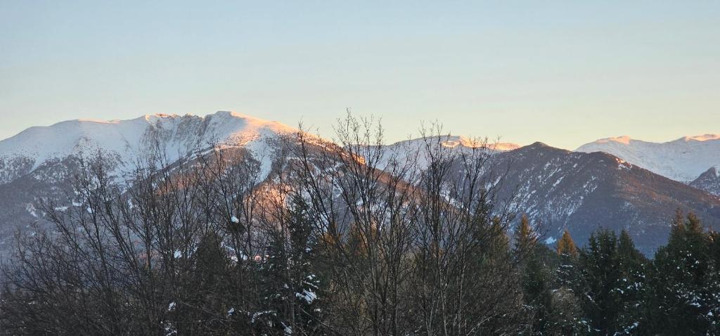 Naturlandskabet i nærheden af lejligheden