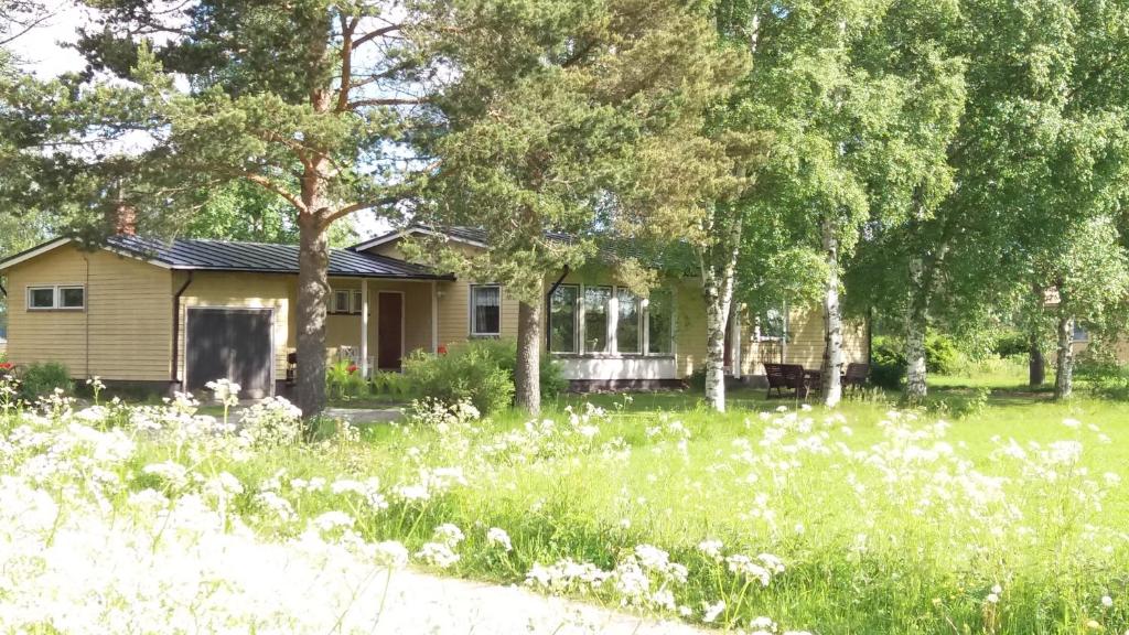 a house with a field of grass and trees at Jeppo Guesthouses in Uusikaarlepyy