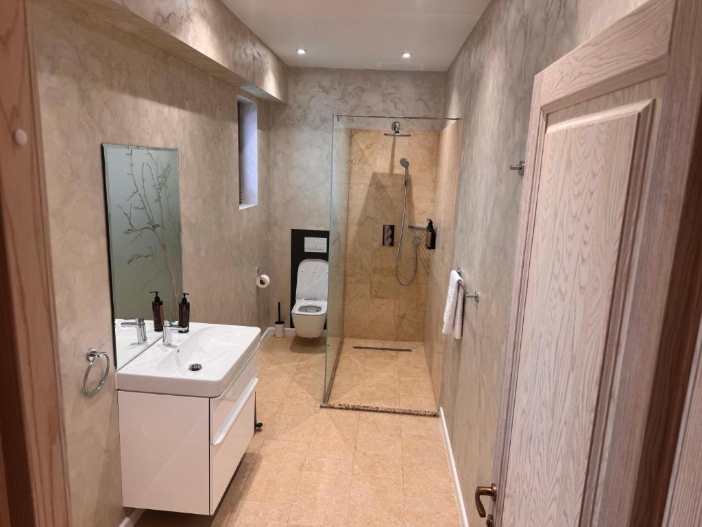 ein Badezimmer mit Toilette, Waschbecken und Dusche in der Unterkunft Eroilor Apartments in Curtea de Argeş