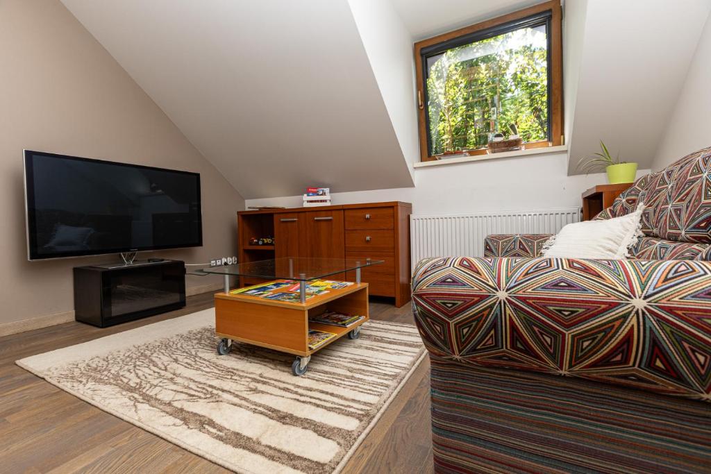 Televisyen dan/atau pusat hiburan di Apartament 294 W Cieniu Drzew