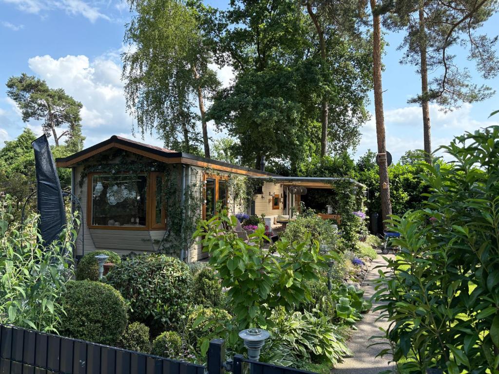 a garden cabin with a lot of plants at Ruim chalet op een 5 sterren camping in Markelo