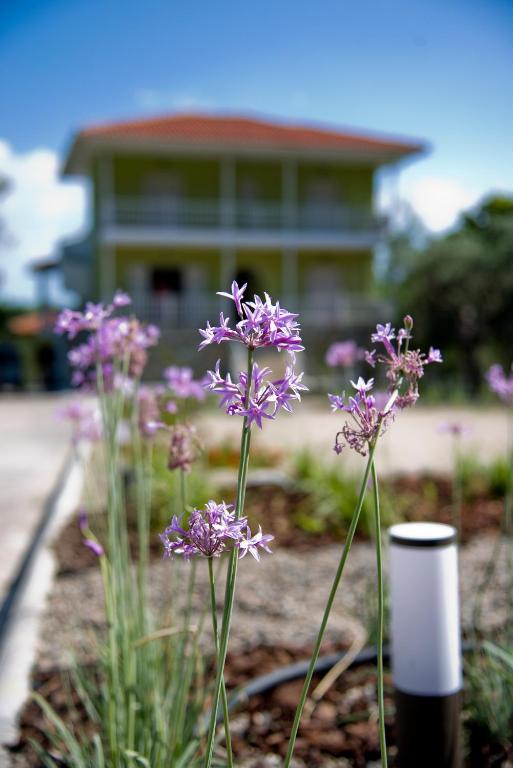 Olivegrove House - 8