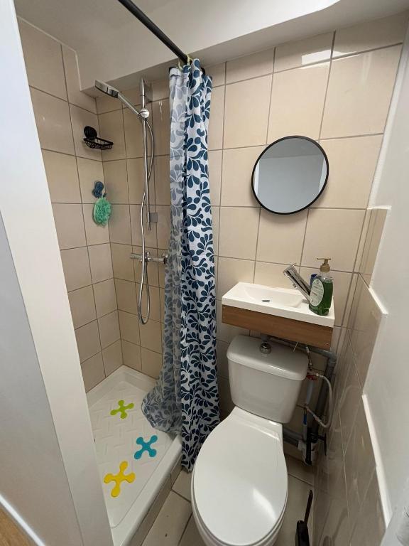a small bathroom with a toilet and a shower at La studette in Saint-Michel-sur-Orge