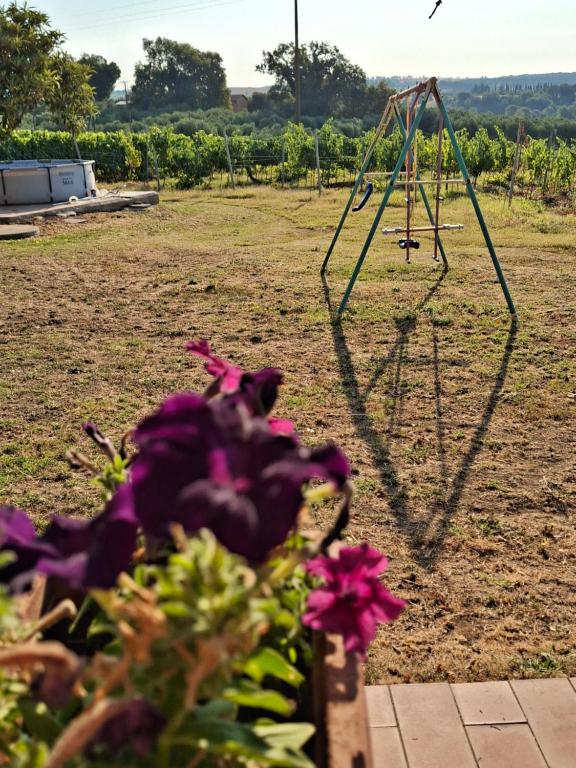 Agriturismo podere 329