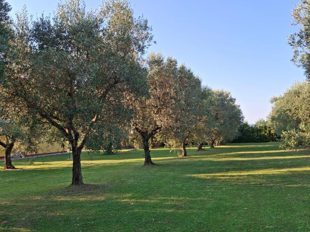 Agriturismo podere 329