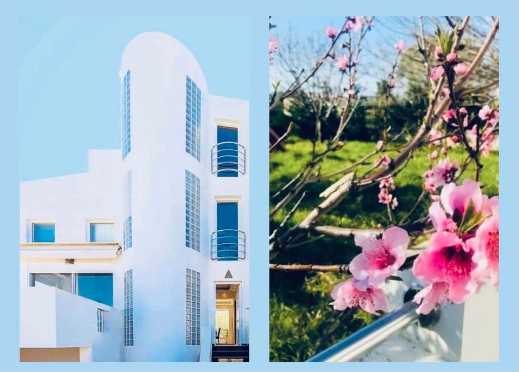 Здание виллы