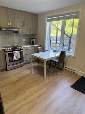 Kuchyň nebo kuchyňský kout v ubytování private apartment 2nd bed extra twenty dollars cash