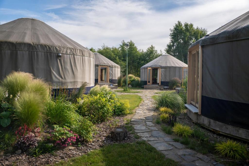een groep yurtwoningen in een tuin bij Jurty Glamping Moje Taghazout in Lubiatowo