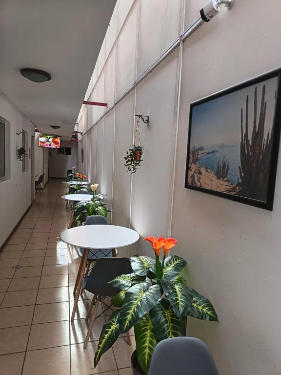 a row of tables and chairs in a room with plants at Lodge Atacama Hostal in Copiapó