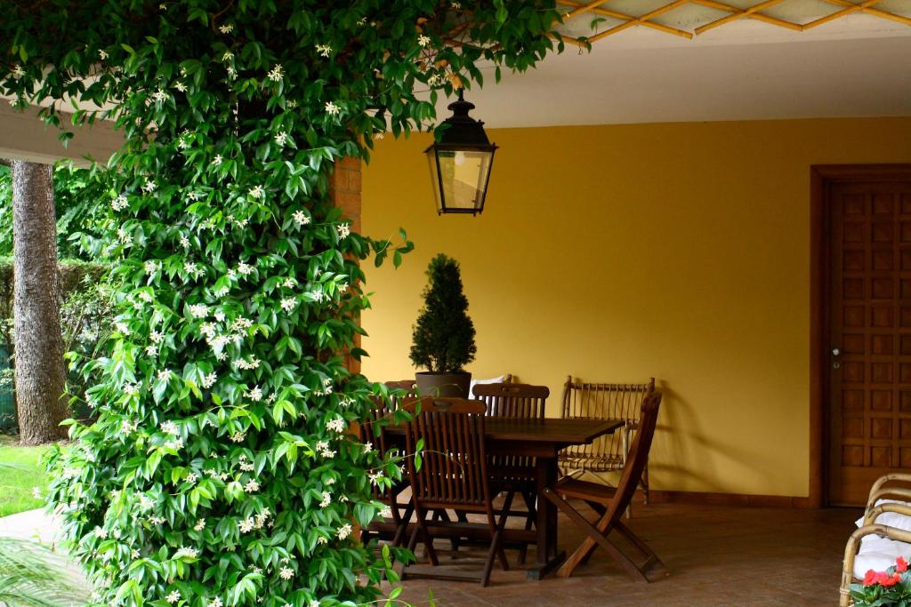 Zahrada ubytování B&b Igea 50