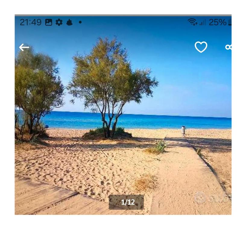 Příroda nedaleko prázdninového domu