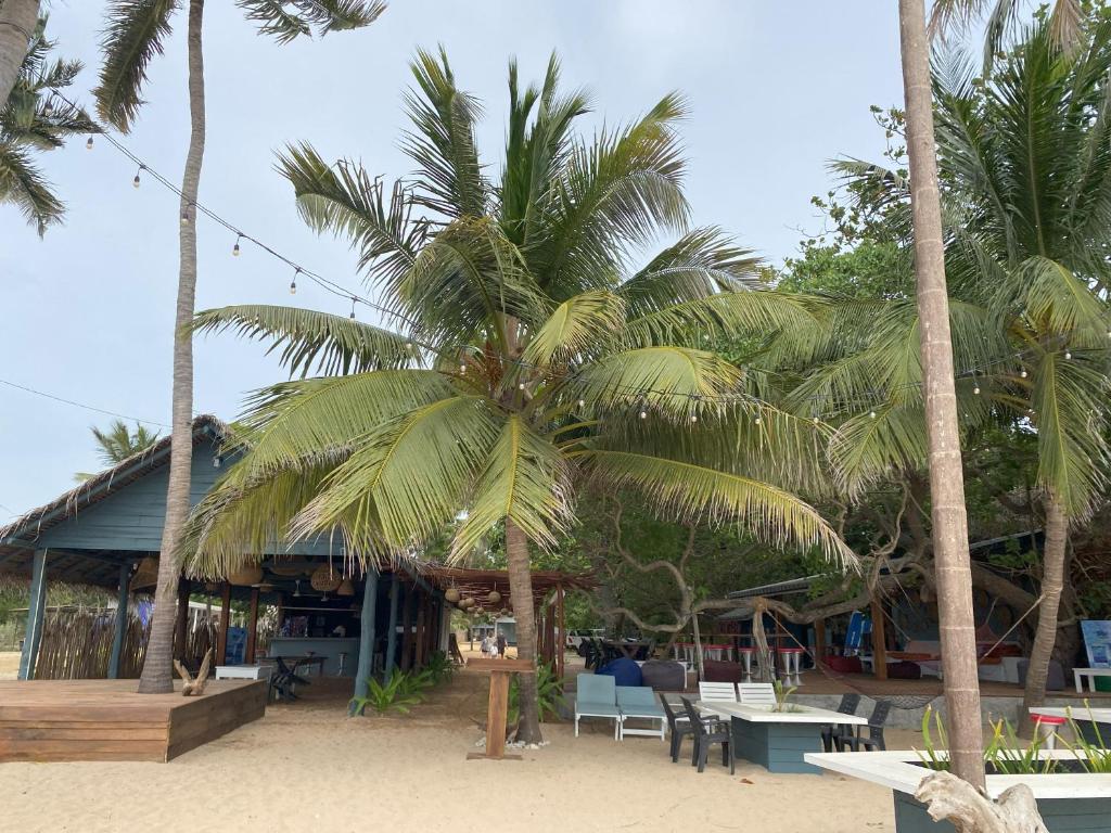 - un complexe sur la plage avec des palmiers et des chaises dans l'établissement Vibration Nilaveli, à Trincomalee
