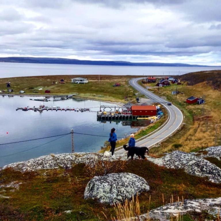 a couple of people walking a dog on a road at Grasbakken Panorama in Varangerbotn