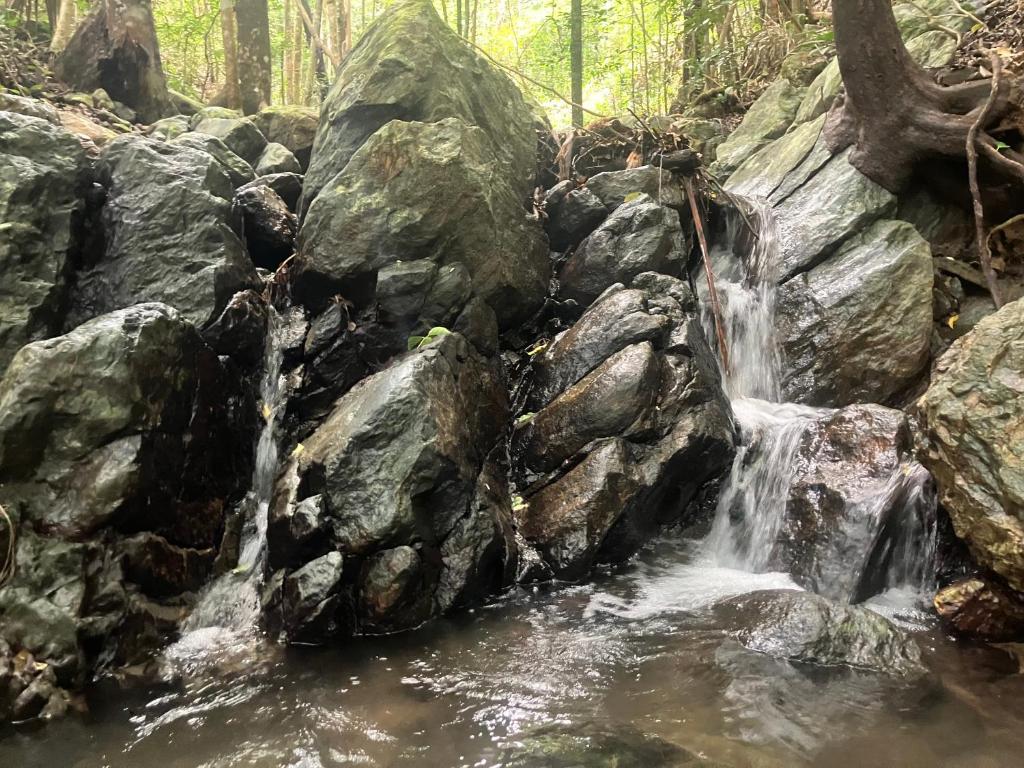 a waterfall on the rocks in a forest at Relaxed Tropical Living in Caravonica