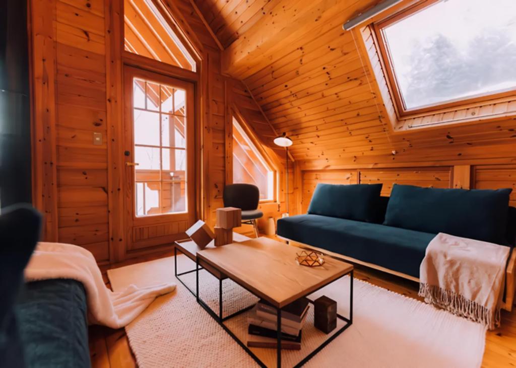 Χώρος καθιστικού στο Hakuba Hills Lodge