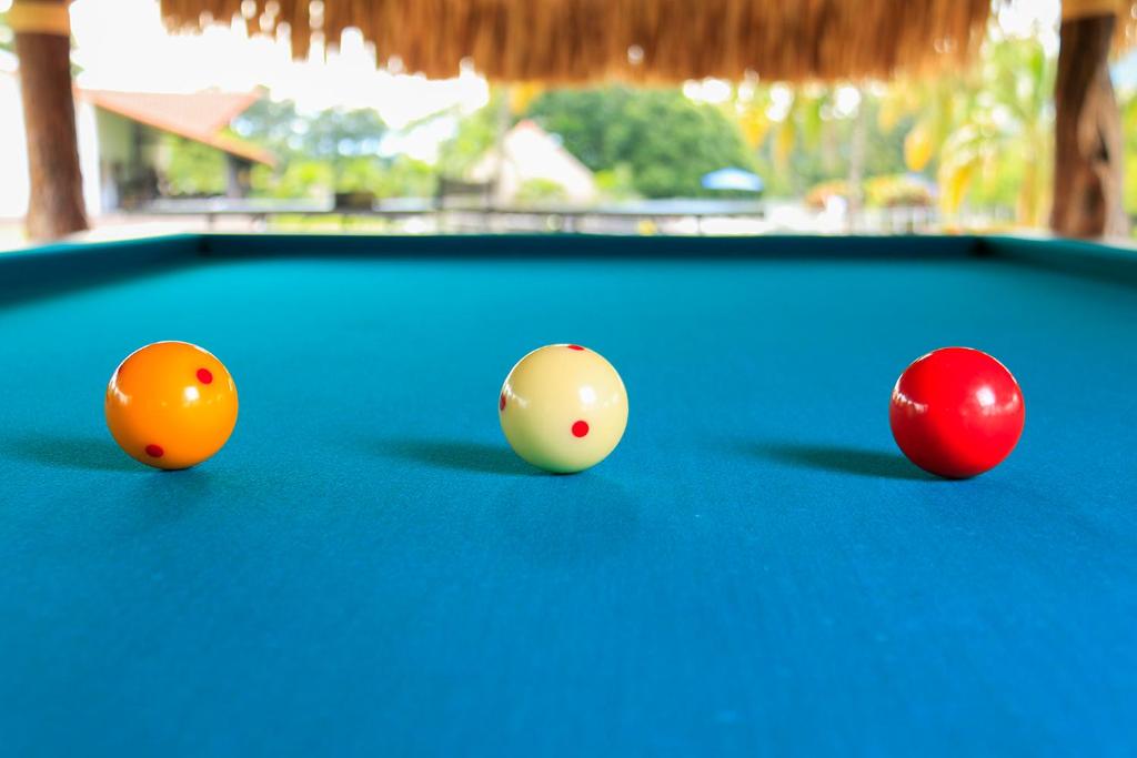 Biliár nebo kulečník v ubytování Hotel Brisas La Gaviota Mariquit-Tolima