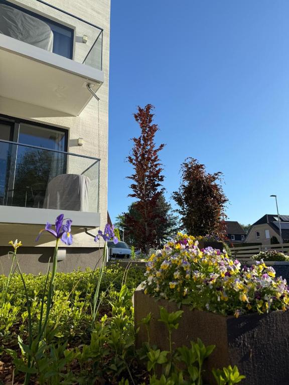 SOFI-LIVING-APARTMENTS - Resim 40