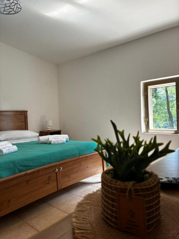 Agriturismo Curatola