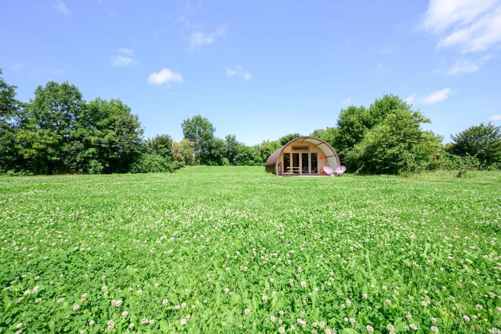 a small gazebo in a field of grass at Het Lage Noorden in Marrum
