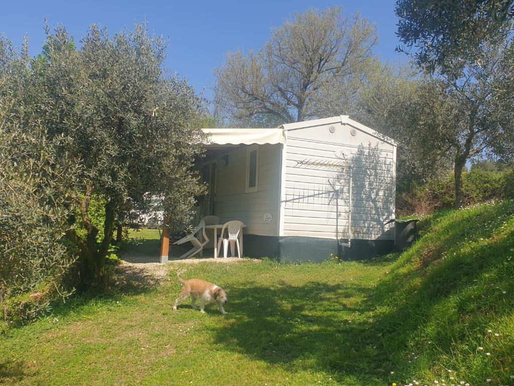 Agriturismo Val della Pieve - 11