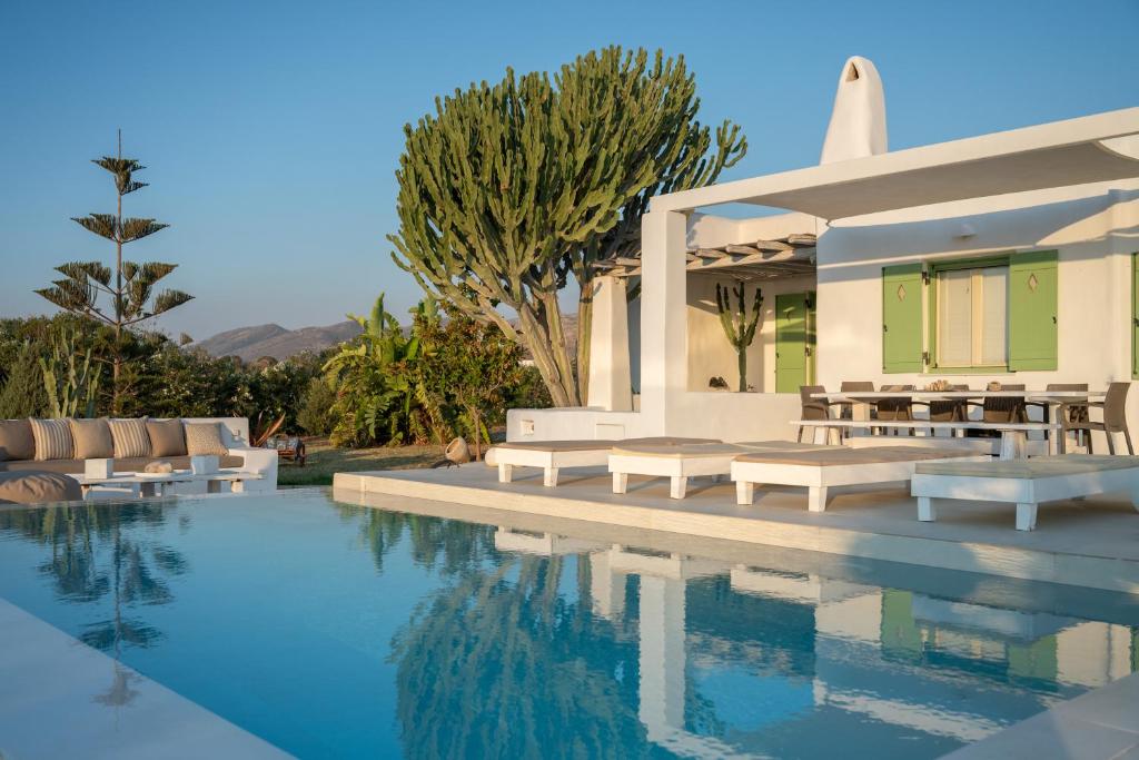 Hồ bơi trong/gần Villa Maria Paros