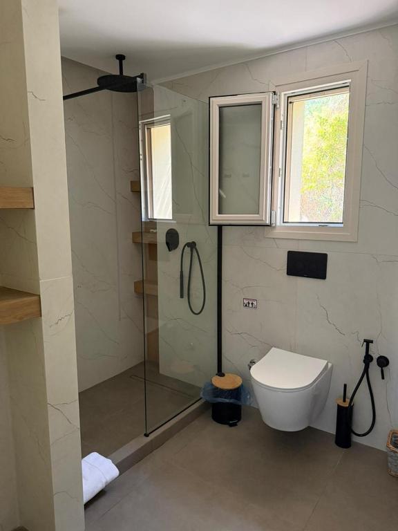 a bathroom with a glass shower and a toilet at Christina Apartment in Mesochórion