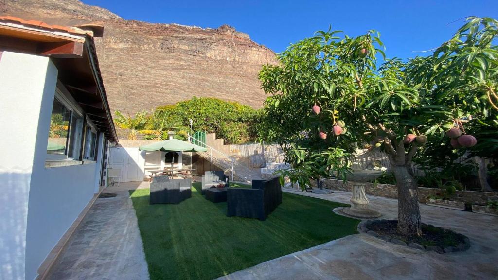 a garden with a tree and a building with a mountain at Casa Domi in Valle Gran Rey